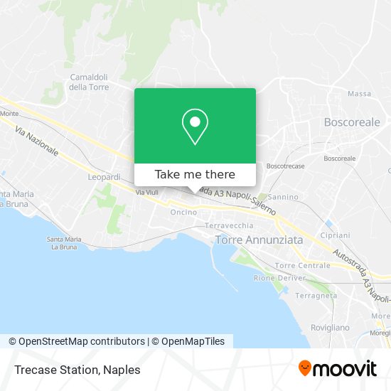 Trecase Station map
