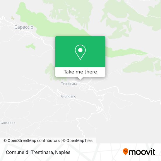 Comune di Trentinara map