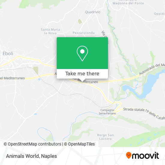 Animals World map