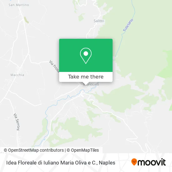 Idea Floreale di Iuliano Maria Oliva e C. map