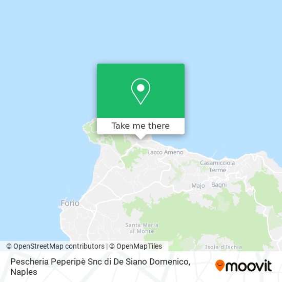 Pescheria Peperipè Snc di De Siano Domenico map