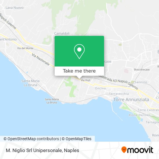 M. Niglio Srl Unipersonale map