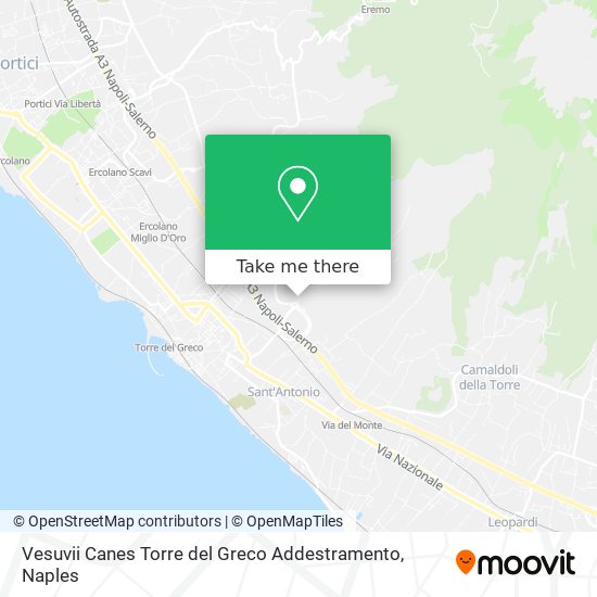 Vesuvii Canes Torre del Greco Addestramento map