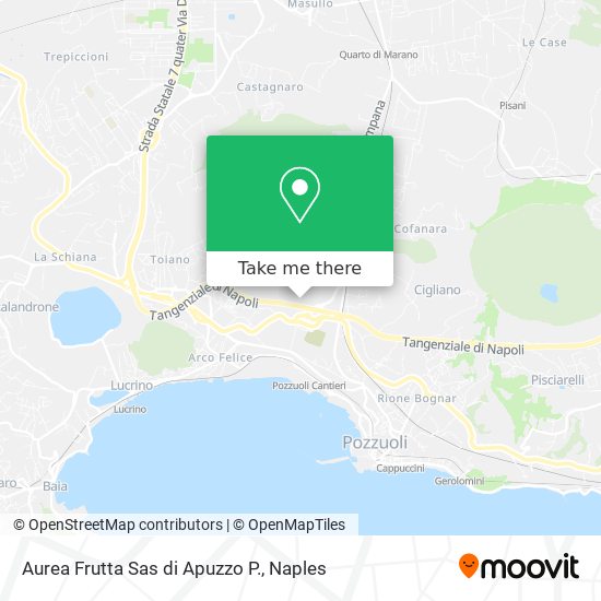 Aurea Frutta Sas di Apuzzo P. map