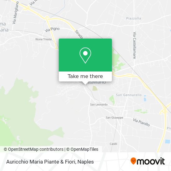 Auricchio Maria Piante & Fiori map