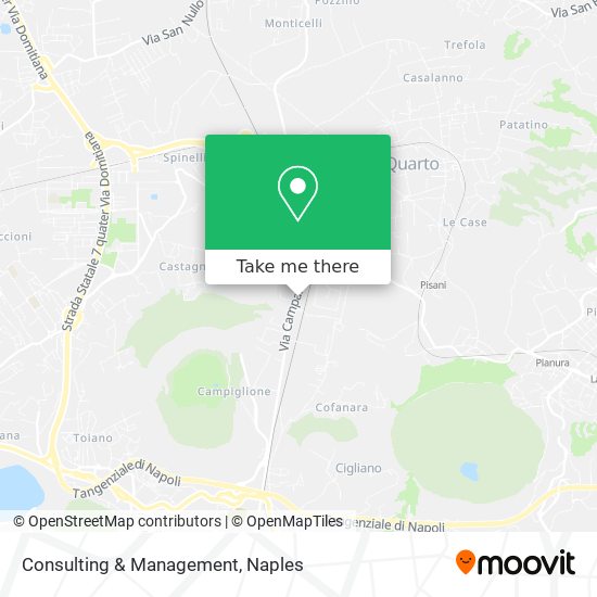 Consulting & Management map