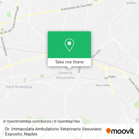 Dr. Immacolata Ambulatorio Veterinario Vesuviano Esposito map