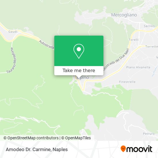 Amodeo Dr. Carmine map