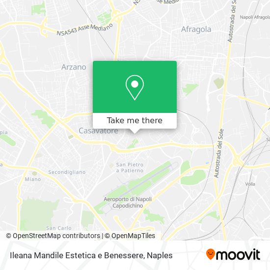 Ileana Mandile Estetica e Benessere map