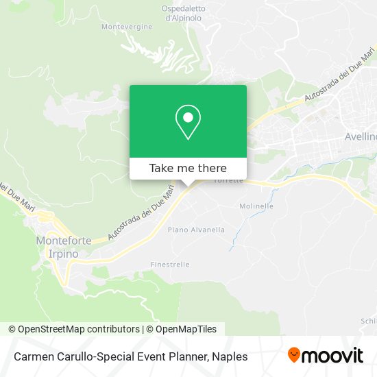 Carmen Carullo-Special Event Planner map