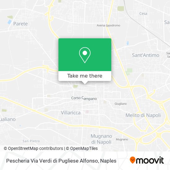 Pescheria Via Verdi di Pugliese Alfonso map