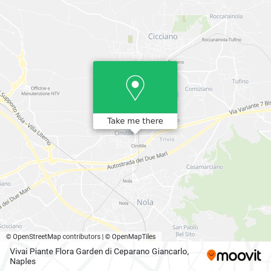 Vivai Piante Flora Garden di Ceparano Giancarlo map