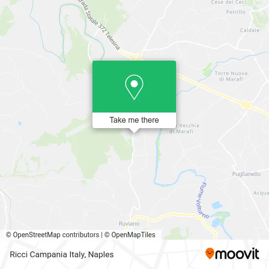Ricci Campania Italy map