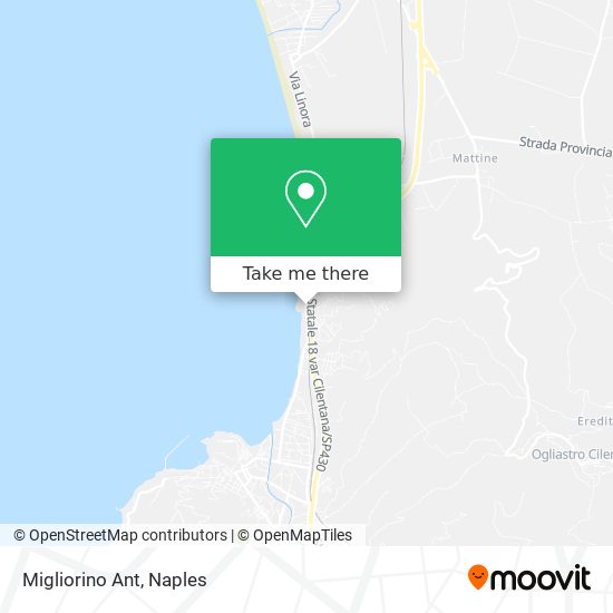Migliorino Ant map