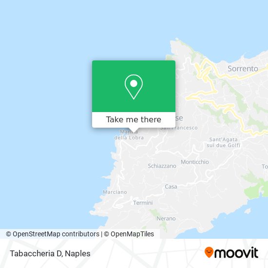 Tabaccheria D map