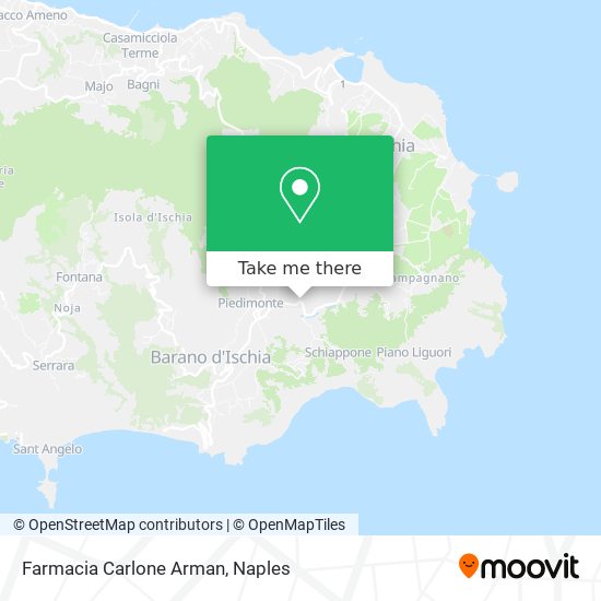 Farmacia Carlone Arman map