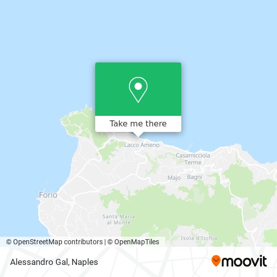Alessandro Gal map