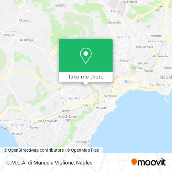 G.M.C.A. di Manuela Viglione map