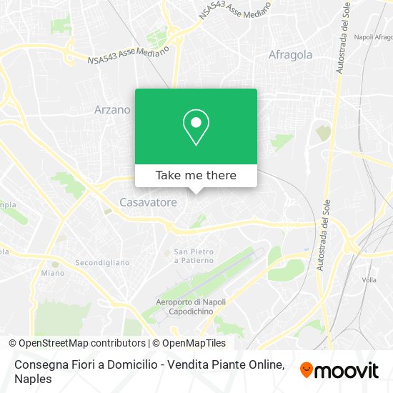 Consegna Fiori a Domicilio - Vendita Piante Online map