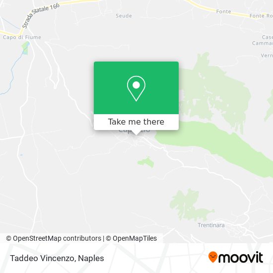 Taddeo Vincenzo map