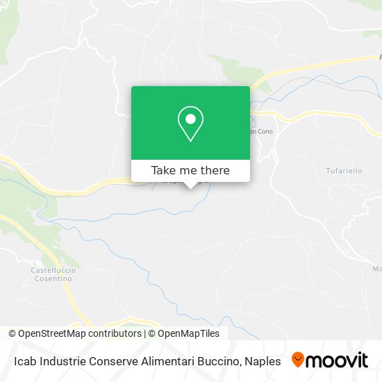 Icab Industrie Conserve Alimentari Buccino map