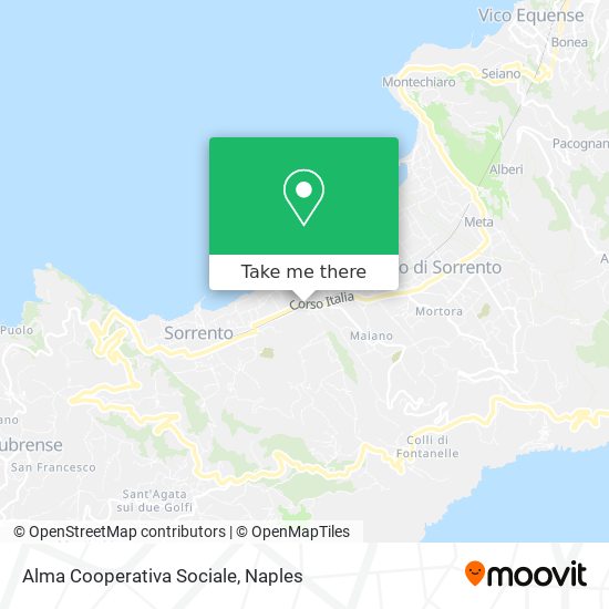 Alma Cooperativa Sociale map