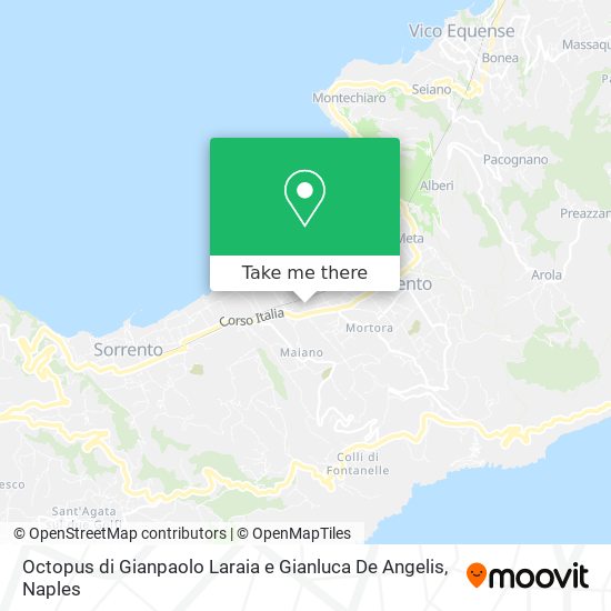 Octopus di Gianpaolo Laraia e Gianluca De Angelis map