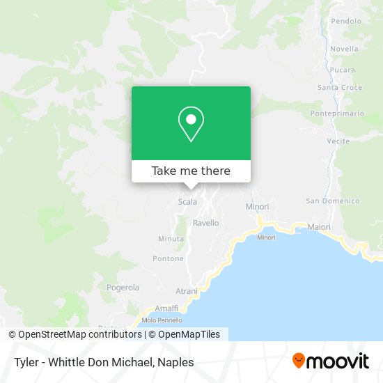 Tyler - Whittle Don Michael map