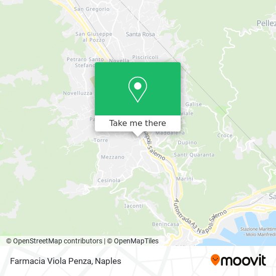 Farmacia Viola Penza map
