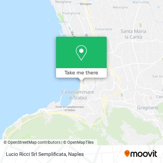 Lucio Ricci Srl Semplificata map