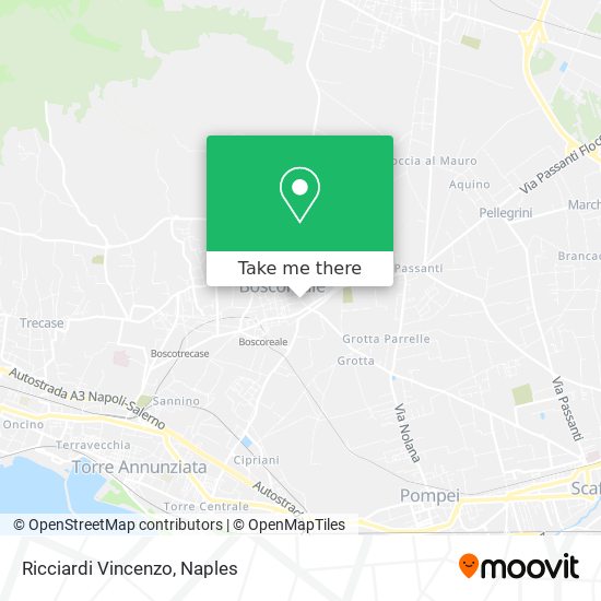 Ricciardi Vincenzo map