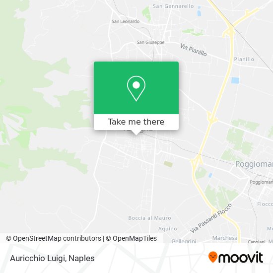 Auricchio Luigi map