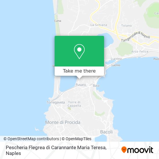 Pescheria Flegrea di Carannante Maria Teresa map