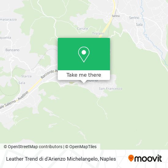 Leather Trend di d'Arienzo Michelangelo map