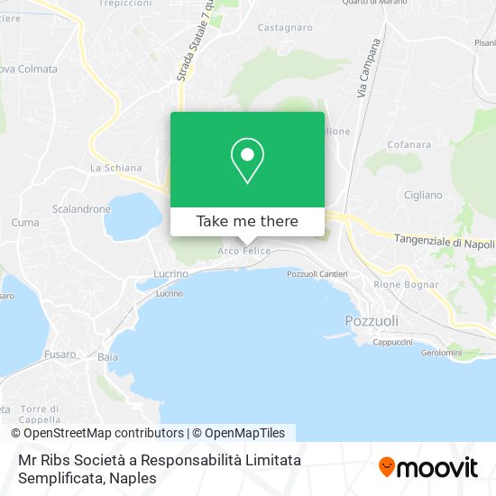 Mr Ribs Società a Responsabilità Limitata Semplificata map