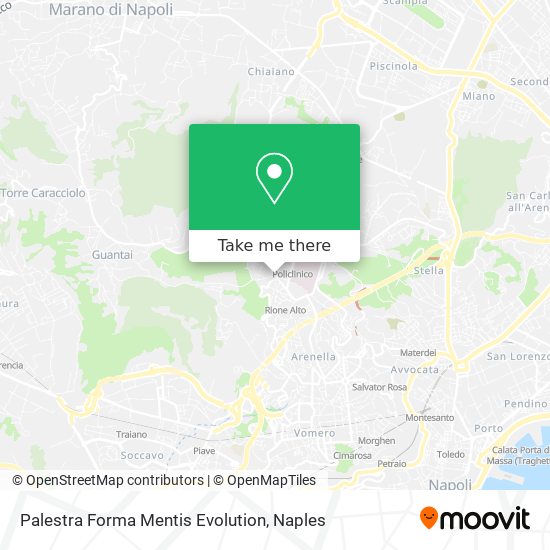 Palestra Forma Mentis Evolution map