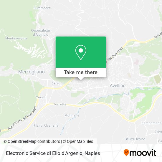 Electronic Service di Elio d'Argenio map