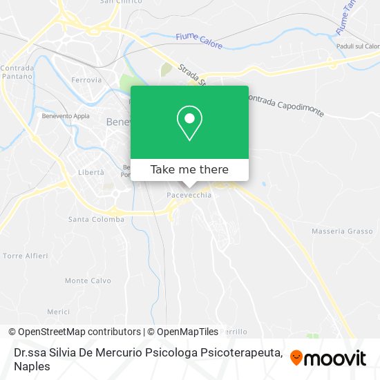 Dr.ssa Silvia De Mercurio Psicologa Psicoterapeuta map