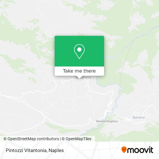 Pintozzi Vitantonia map