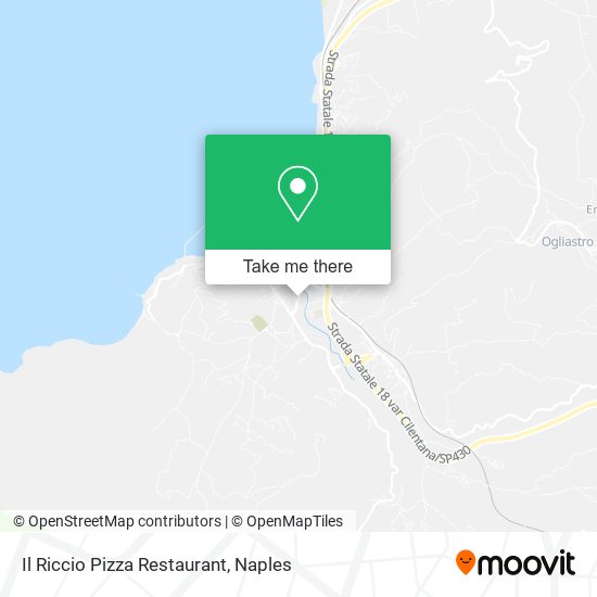 Il Riccio Pizza Restaurant map
