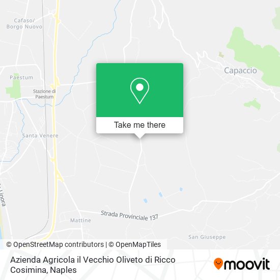 Azienda Agricola il Vecchio Oliveto di Ricco Cosimina map