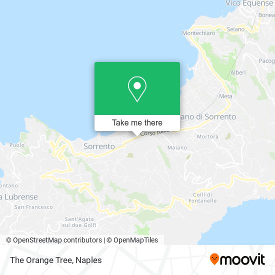 The Orange Tree map