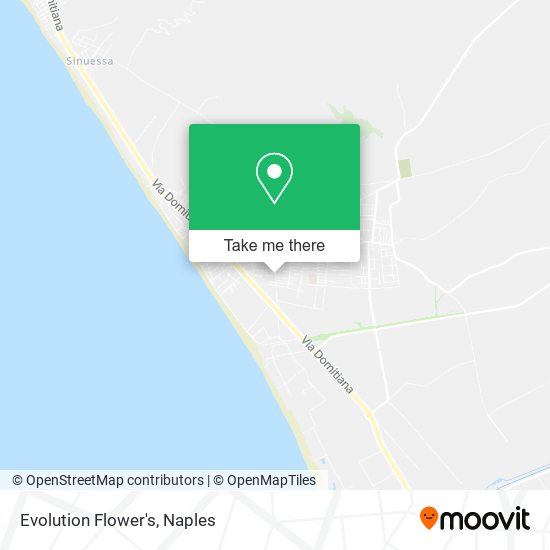Evolution Flower's map