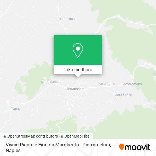 Vivaio Piante e Fiori da Margherita - Pietramelara map
