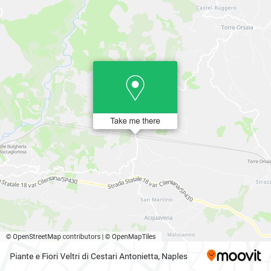 Piante e Fiori Veltri di Cestari Antonietta map