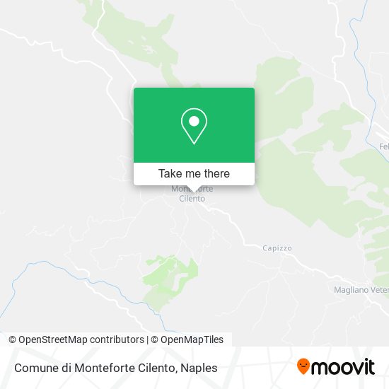 Comune di Monteforte Cilento map
