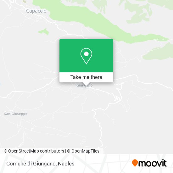 Comune di Giungano map