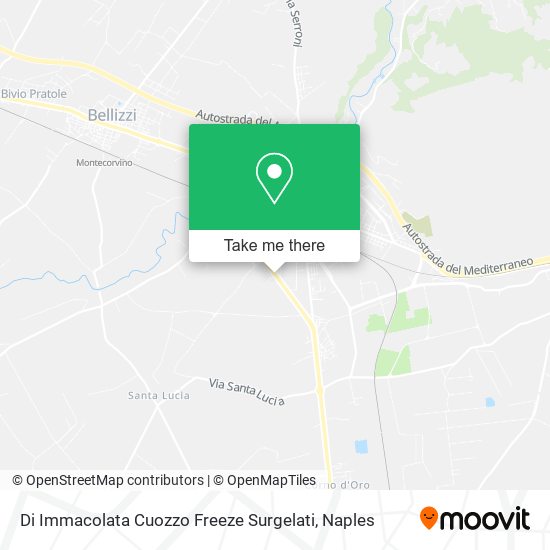 Di Immacolata Cuozzo Freeze Surgelati map