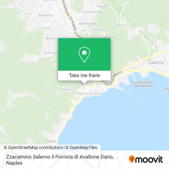 Zzacamino Salerno il Fiorista di Avallone Dario map