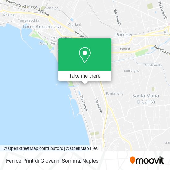 Fenice Print di Giovanni Somma map